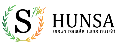 logo-hunsa-s-plue@2x